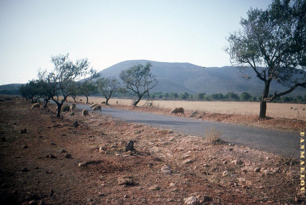 LE KHAR OU LA MONTAGNE DES LIONS (7).jpg